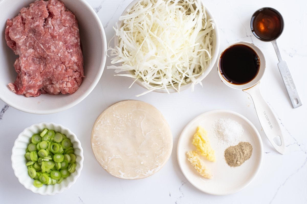 Ingredientes de las gyozas de cerdo