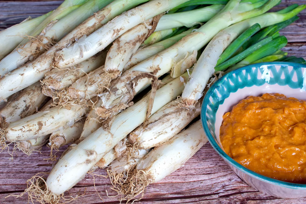 Ingredientes de los calçots al horno