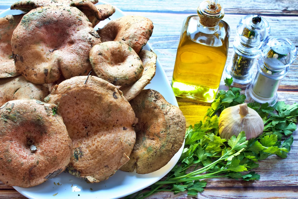 Níscalos al ajillo 1 Ingredientes de los níscalos al ajillo
