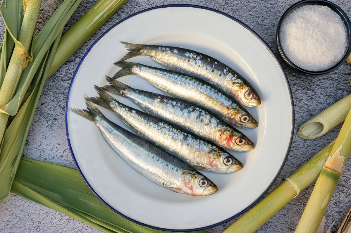 Ingredientes del espeto de sardinas