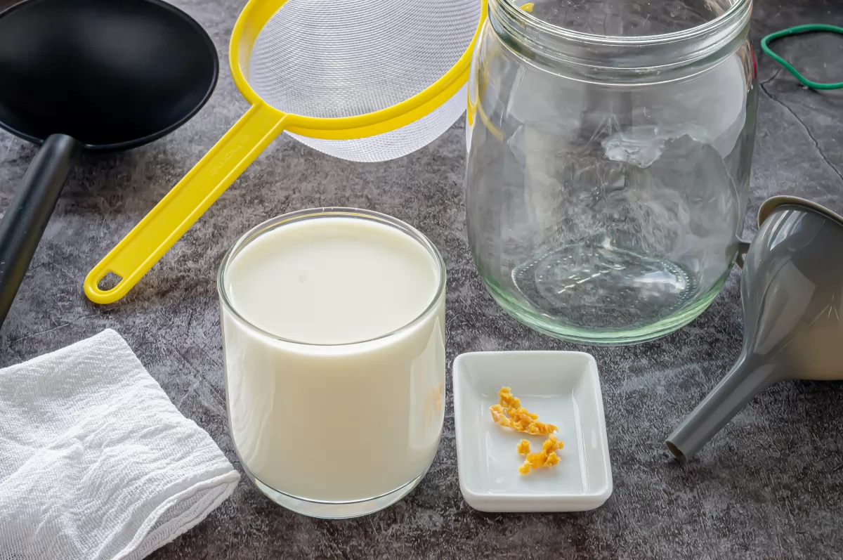 Kéfir de leche 1 Ingredientes para activar los búlgaros *