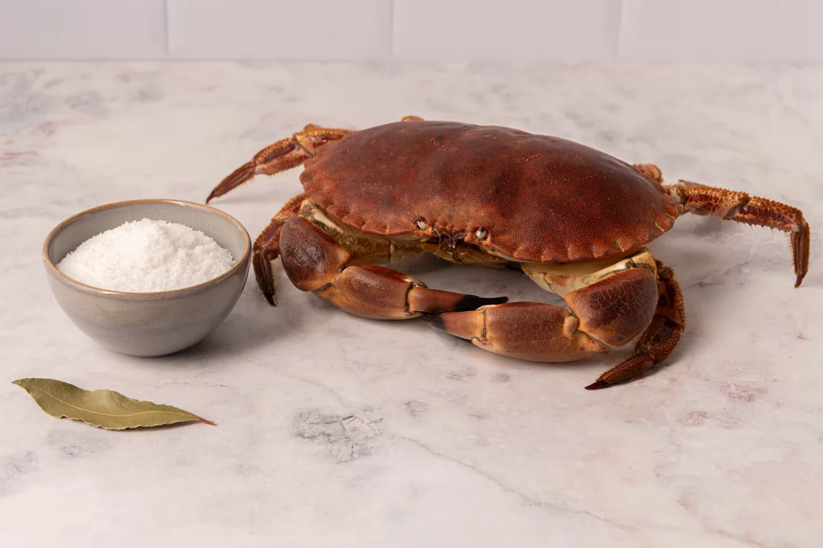 Ingredientes para el buey de mar cocido para dos personas