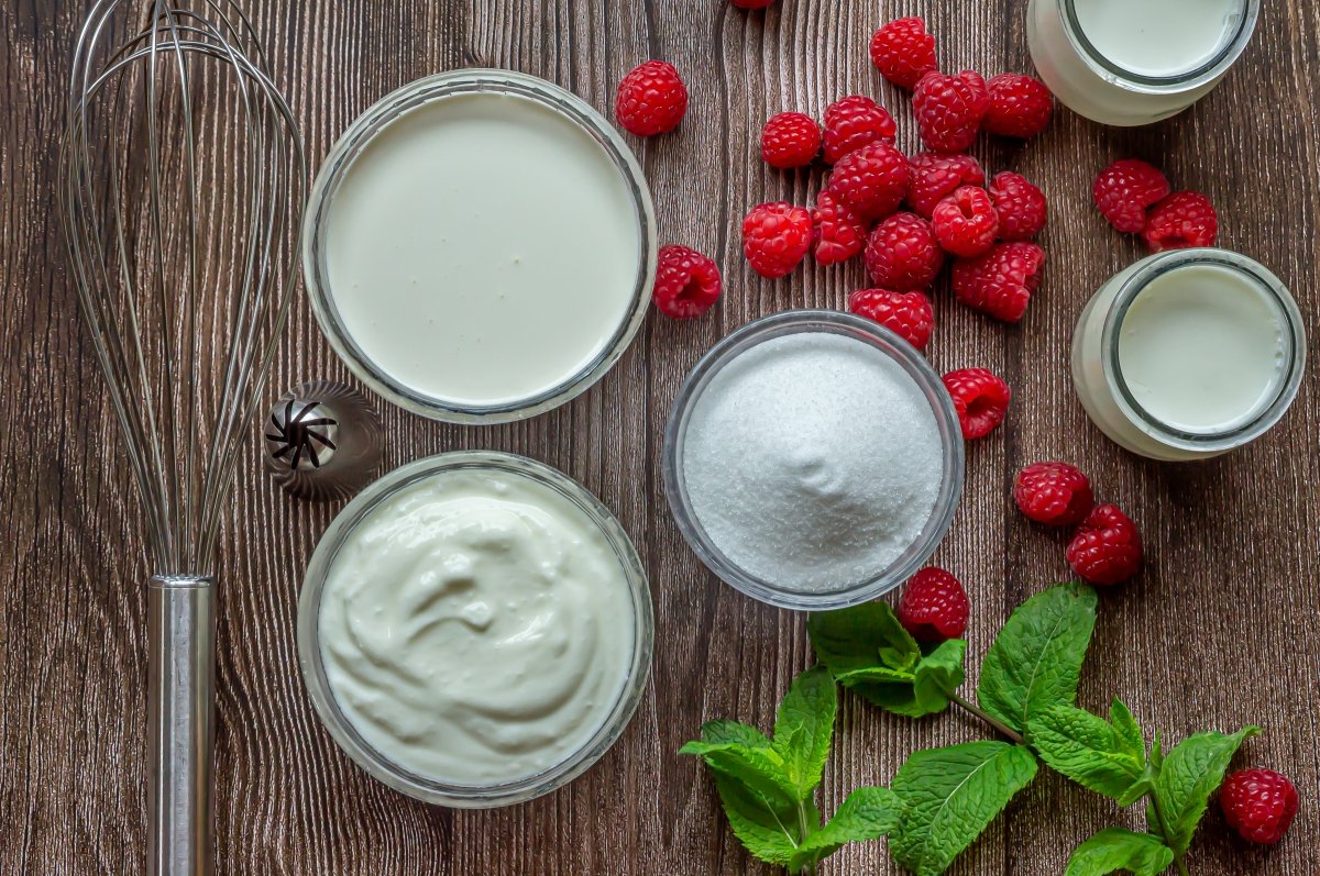 Ingredients for yogurt ice cream