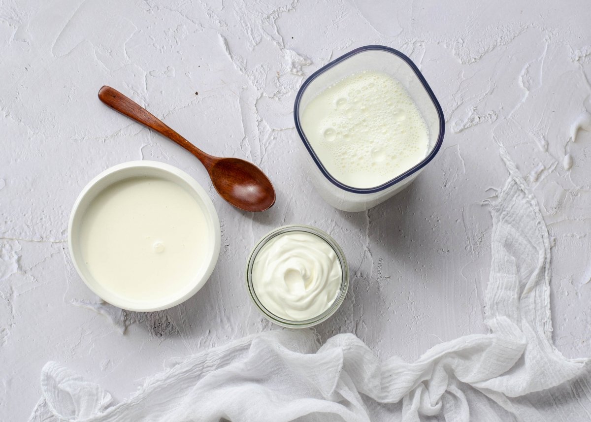 Ingredientes para elaborar yogur griego casero