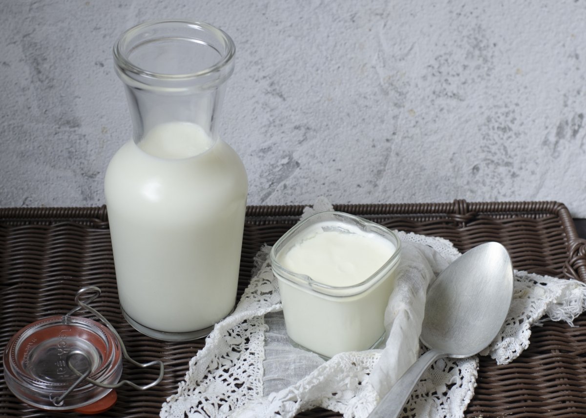 Ingredients to make homemade natural yogurt