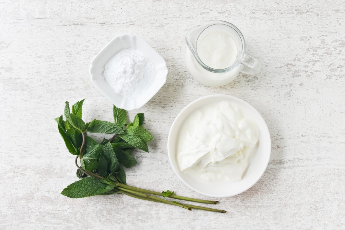 Ingredientes para preparar helado de menta