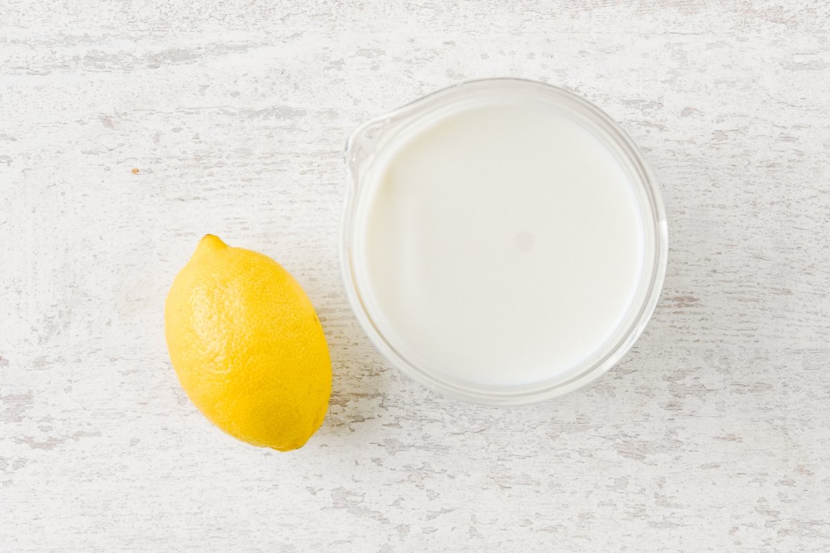 Ingredientes para preparar queso ricotta casero