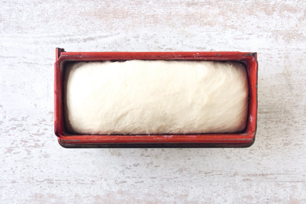 La masa del pan de patata doblará su tamaño