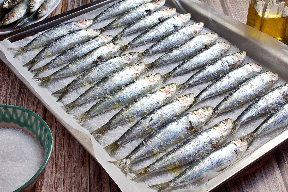 Las sardinas de las sardinas asadas al horno con aceite y sal gorda por encima