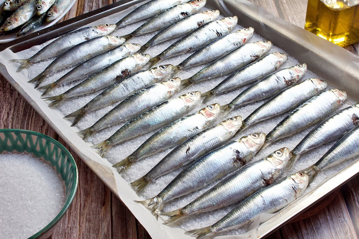 Las sardinas de las sardinas asadas al horno encima de la sal gorda