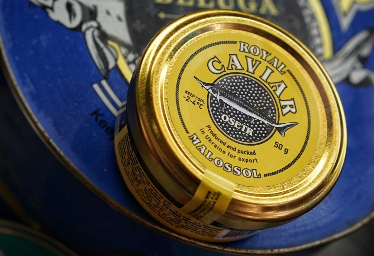 Lata de caviar osetra maolossol