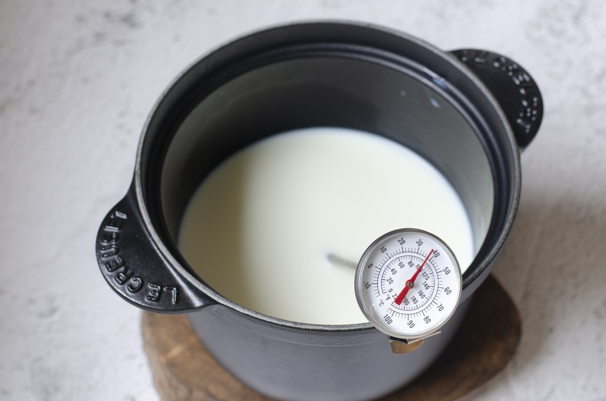 Yogurt milk heating up