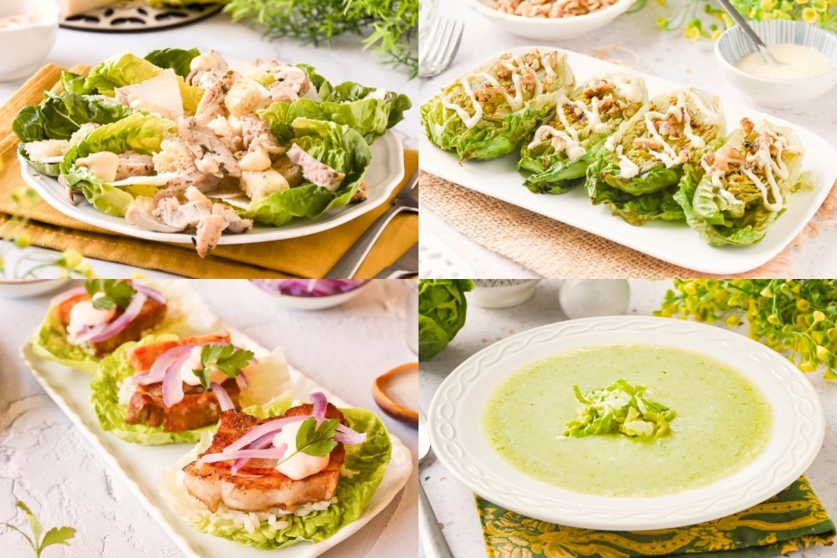 Recetas con lechuga