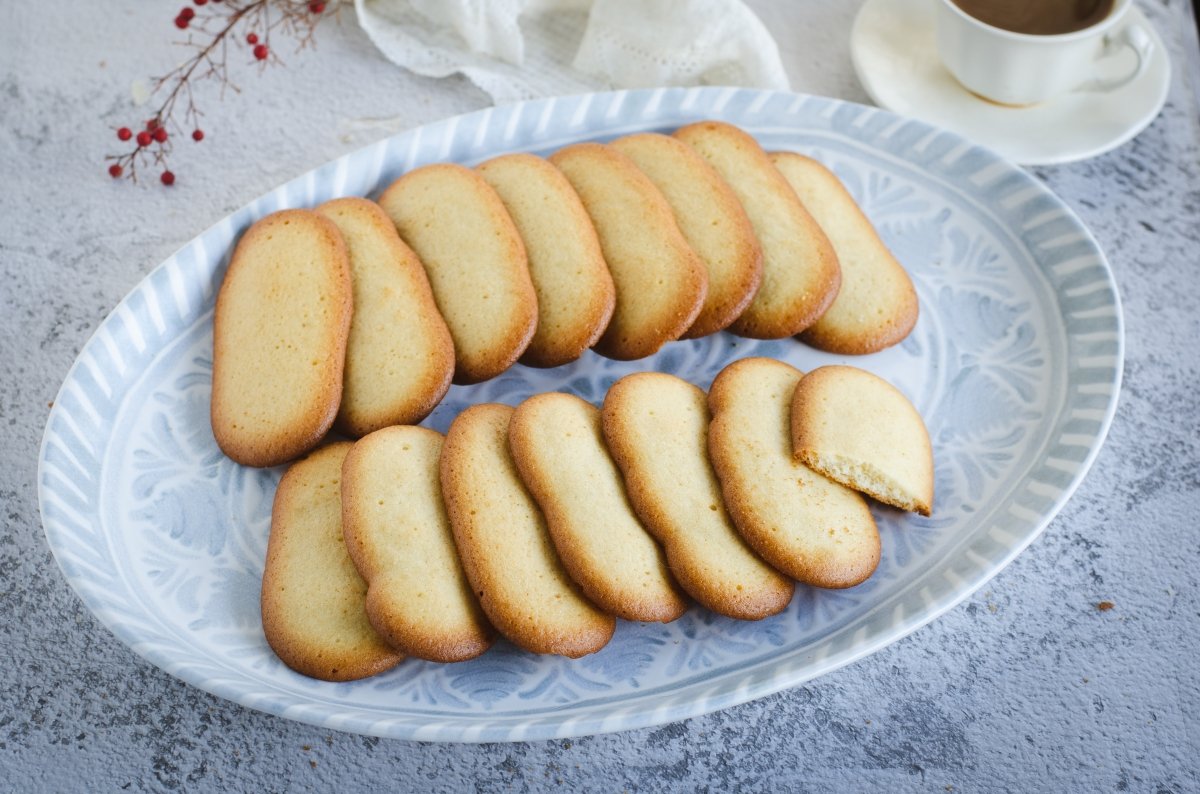 homemade cat tongues