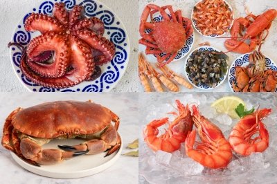 Las mejores recetas de marisco cocido