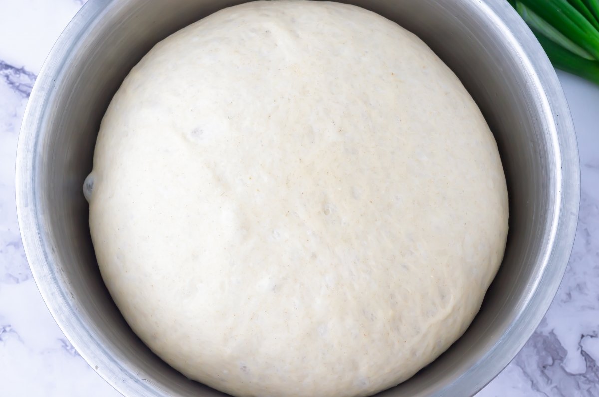 Masa de los baozi fermentada