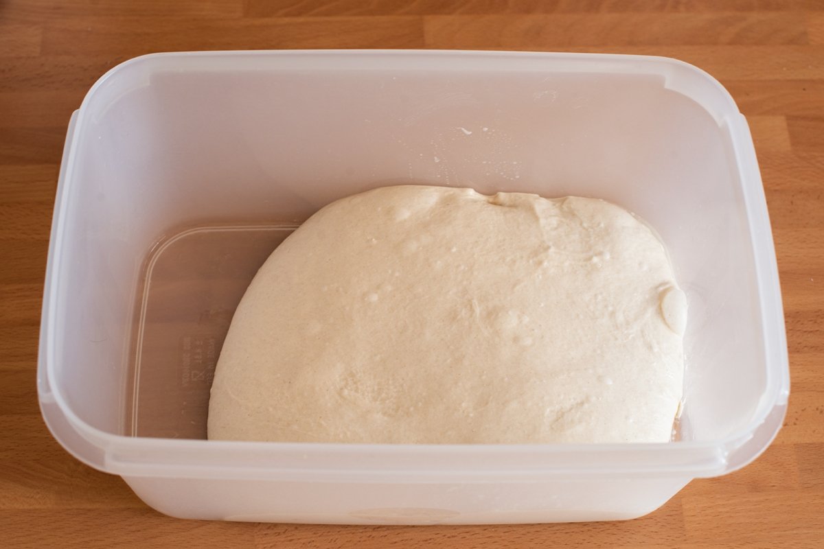 Leavened focaccia dough