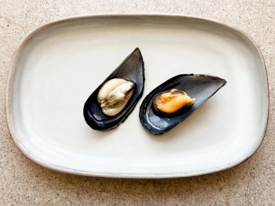 ¿Mejillones naranjas o amarillos? Este es el motivo de la diferencia de color de algunos ejemplares