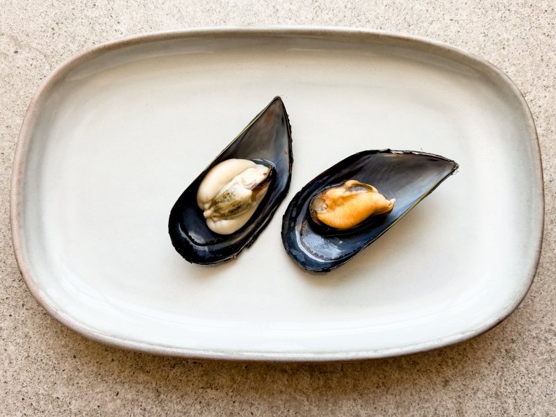 ¿Mejillones naranjas o amarillos? Este es el motivo de la diferencia de color de algunos ejemplares