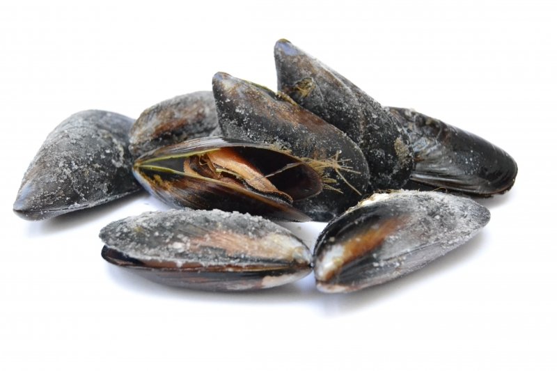 Cómo conservar los mejillones adecuadamente