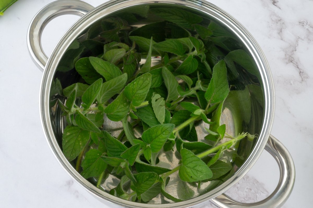 Menta para las habas enzapatadas