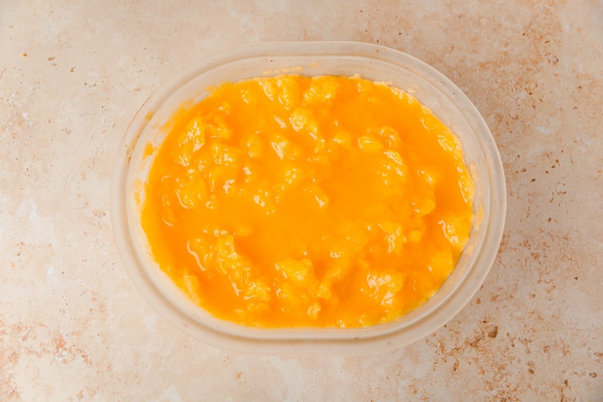 Mezcla congelada del sorbete de naranja