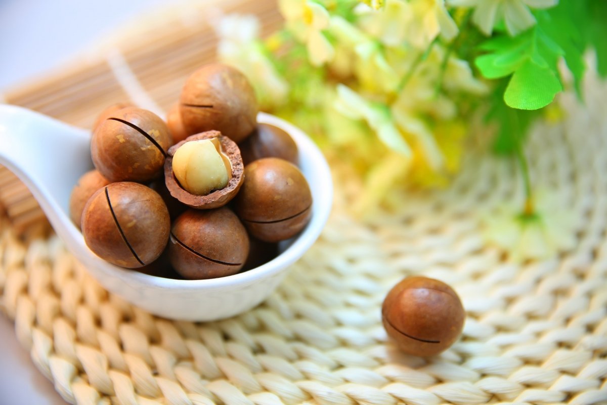 Nueces de macadamia con la cáscara