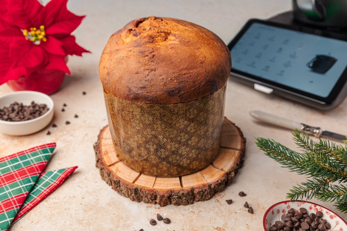Panettone casero hecho con Thermomix