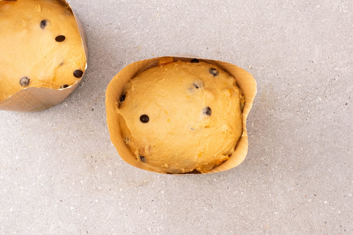 Panettone dentro del molde