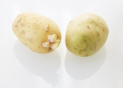 Cómo evitar la solanina y otros tóxicos naturales en las patatas