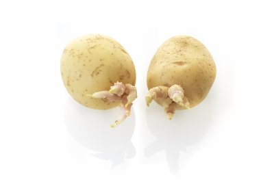 Cómo conservar las patatas y evitar que germinen