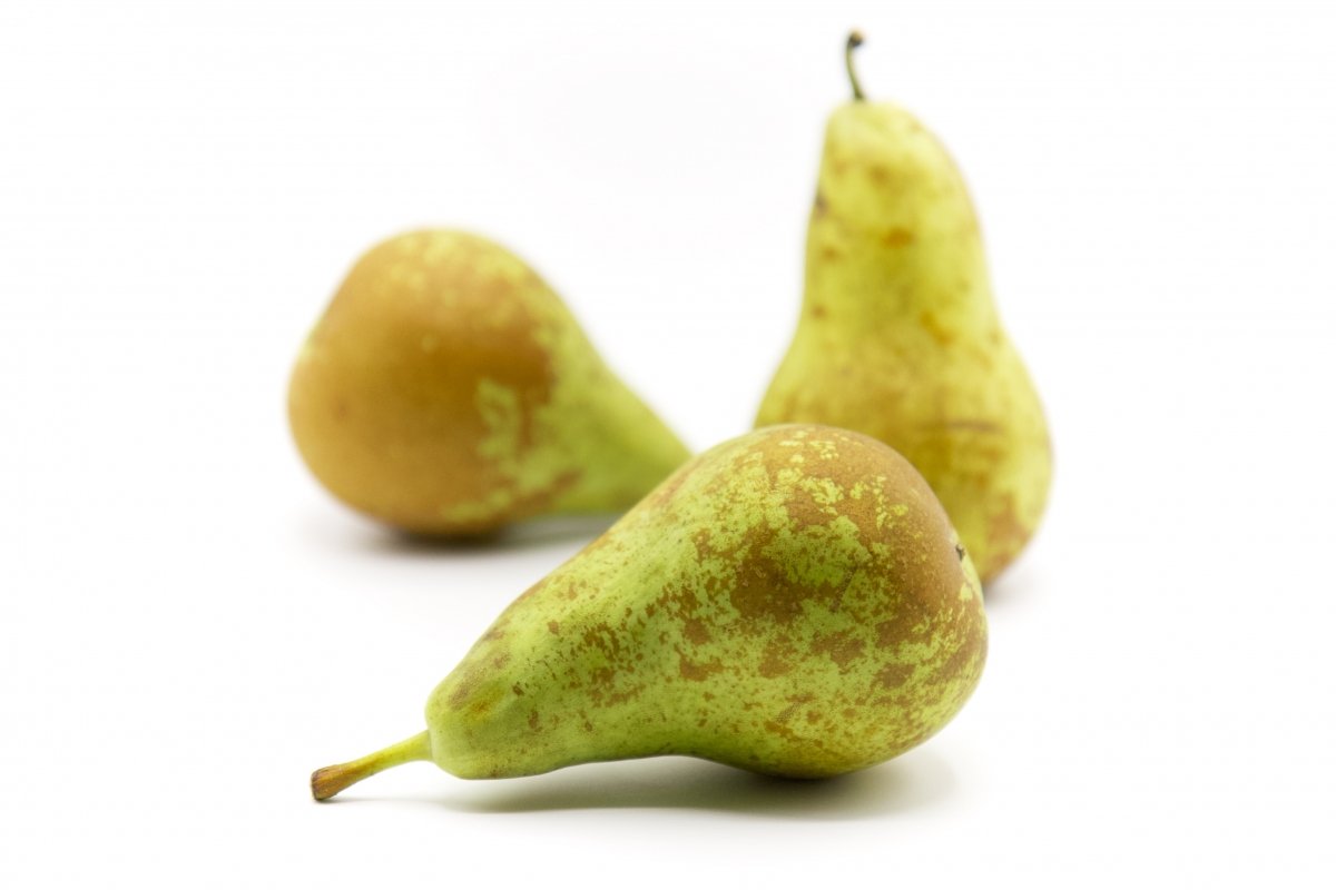 Cu l Es El Origen Del Nombre De La Pera Conferencia Cu l Es El Origen Del Nombre De La Pera Conferencia