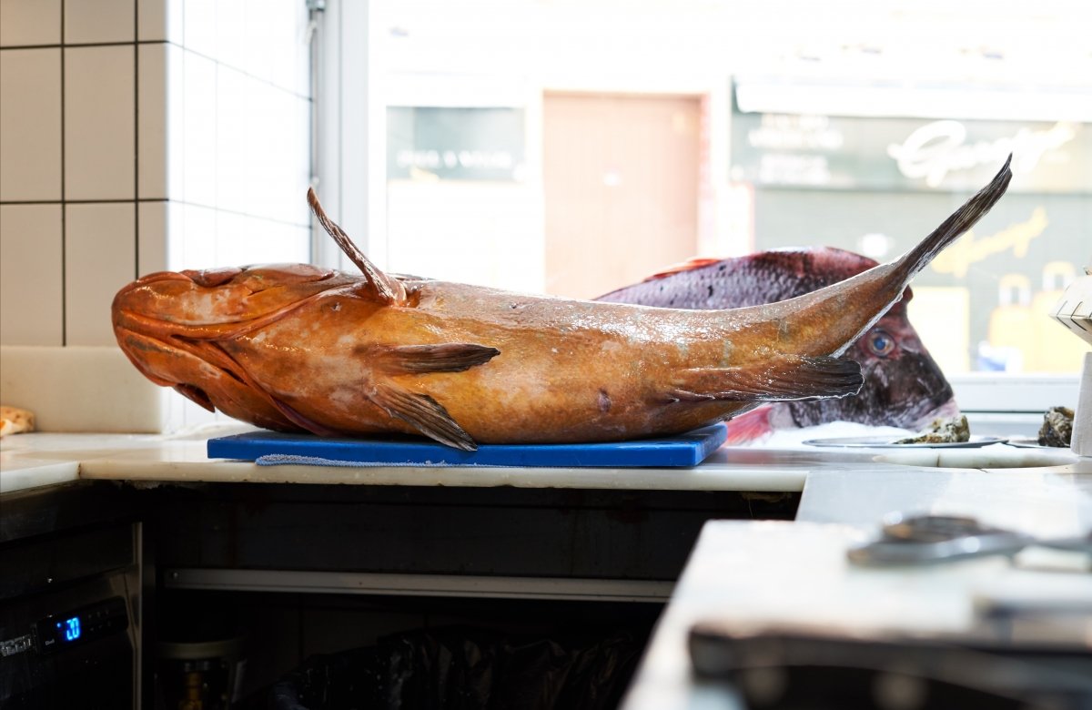 Estresante claridad acerca de Restaurante Cañabota, el anzuelo sevillano para amantes del pescado -  Sevilla