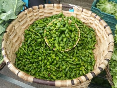 Pimientos de Padrón: por qué unos pican y otros no, y el truco para diferenciarlos