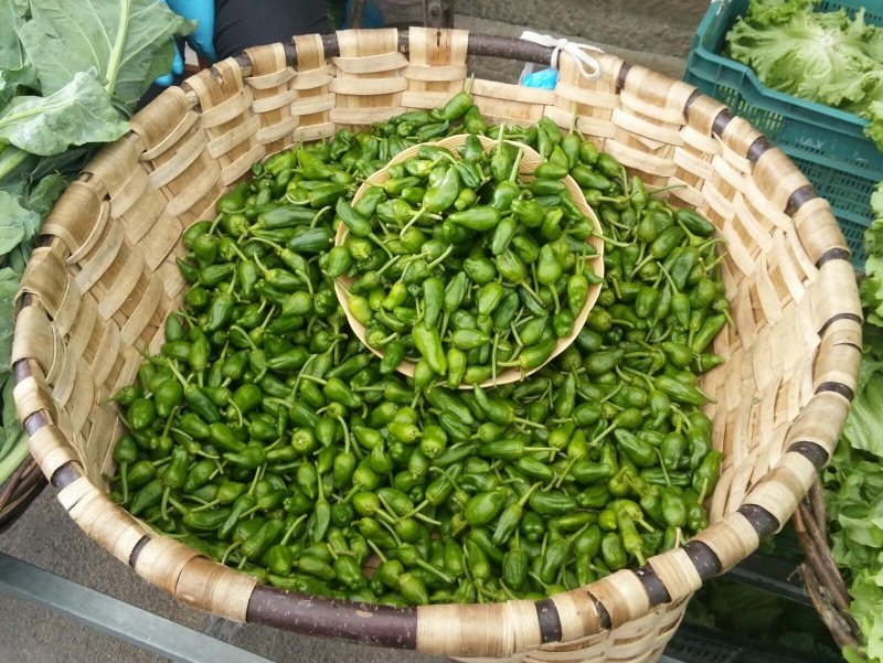 Pimientos de Padrón: por qué unos pican y otros no, y el truco para diferenciarlos