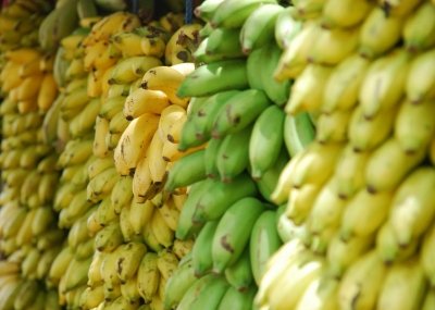¿Cuáles son las diferencias entre plátano y banana?