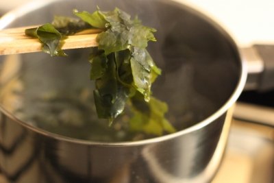 Wakame, alga saludable y nutritiva