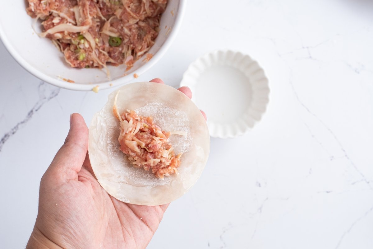 Ponemos el relleno de las gyozas de cerdo