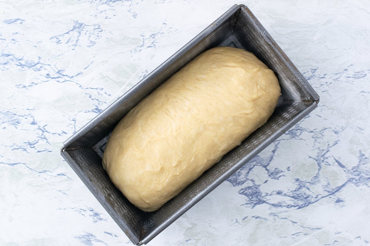Put the homemade brioche dough in the mold