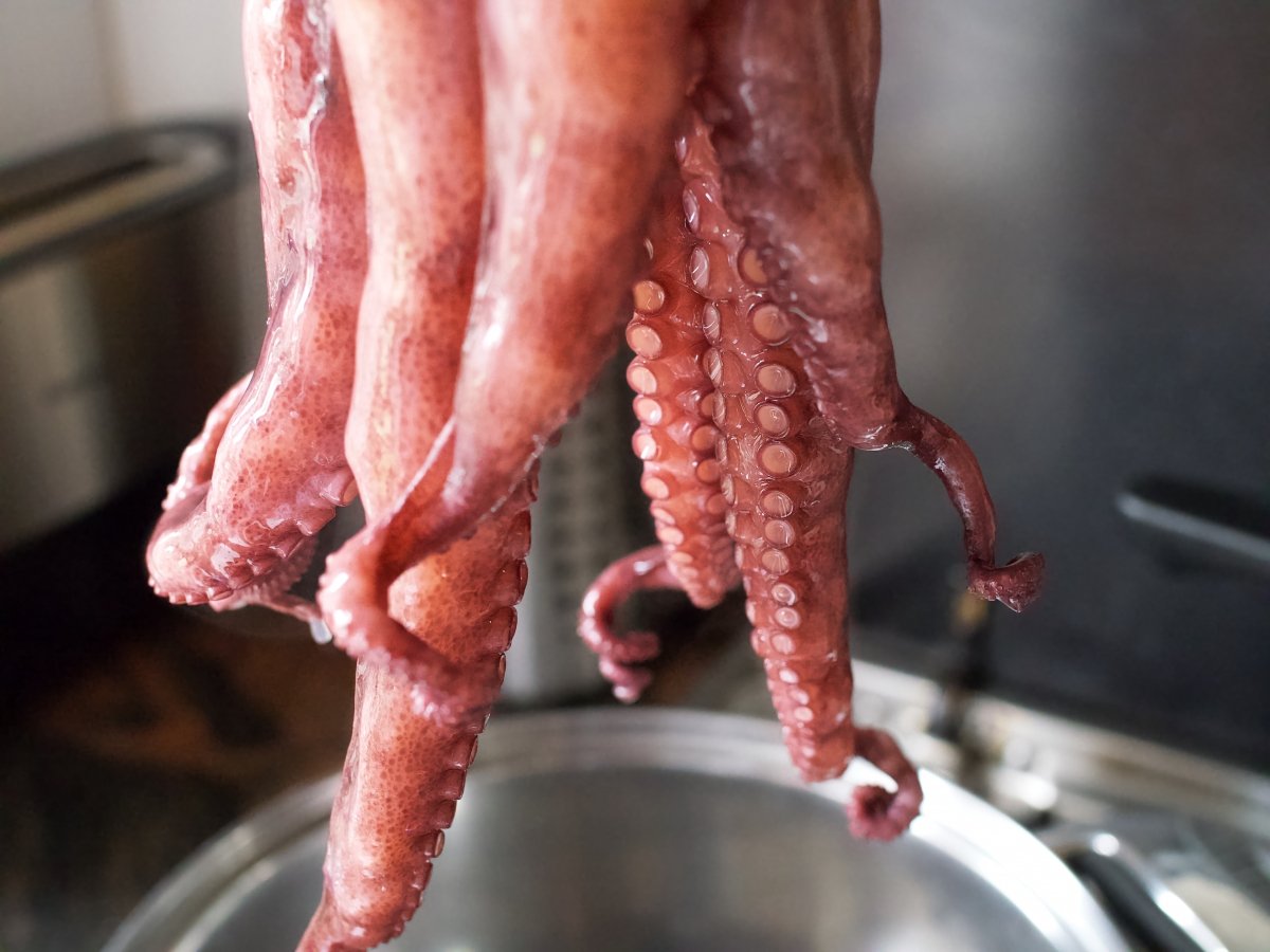 Poner el pulpo