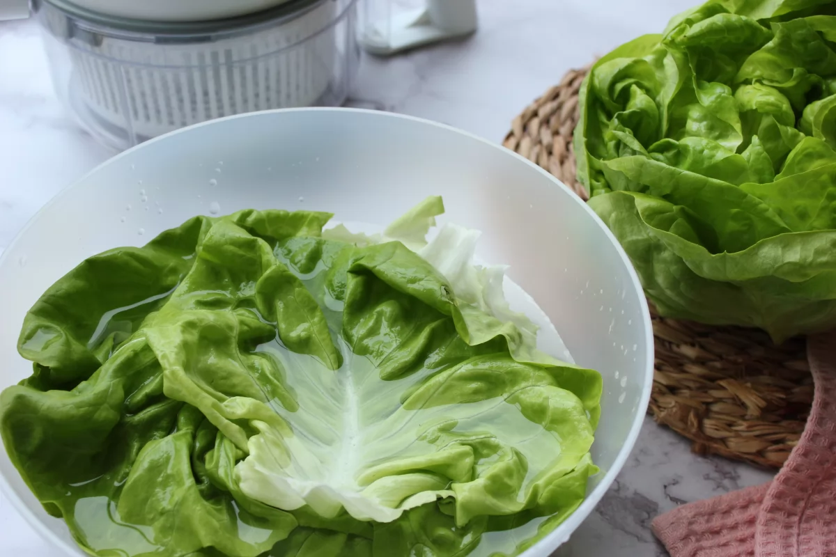 Proceso de lavado de las hojas de lechuga Trocadero *