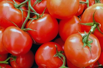 ¿El tomate es una fruta o una verdura?