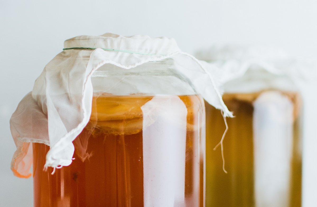 Recipientes de cristal con kombucha