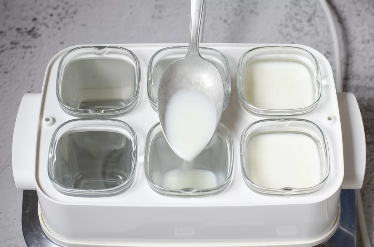 Rellenando los vasos de la yogurtera