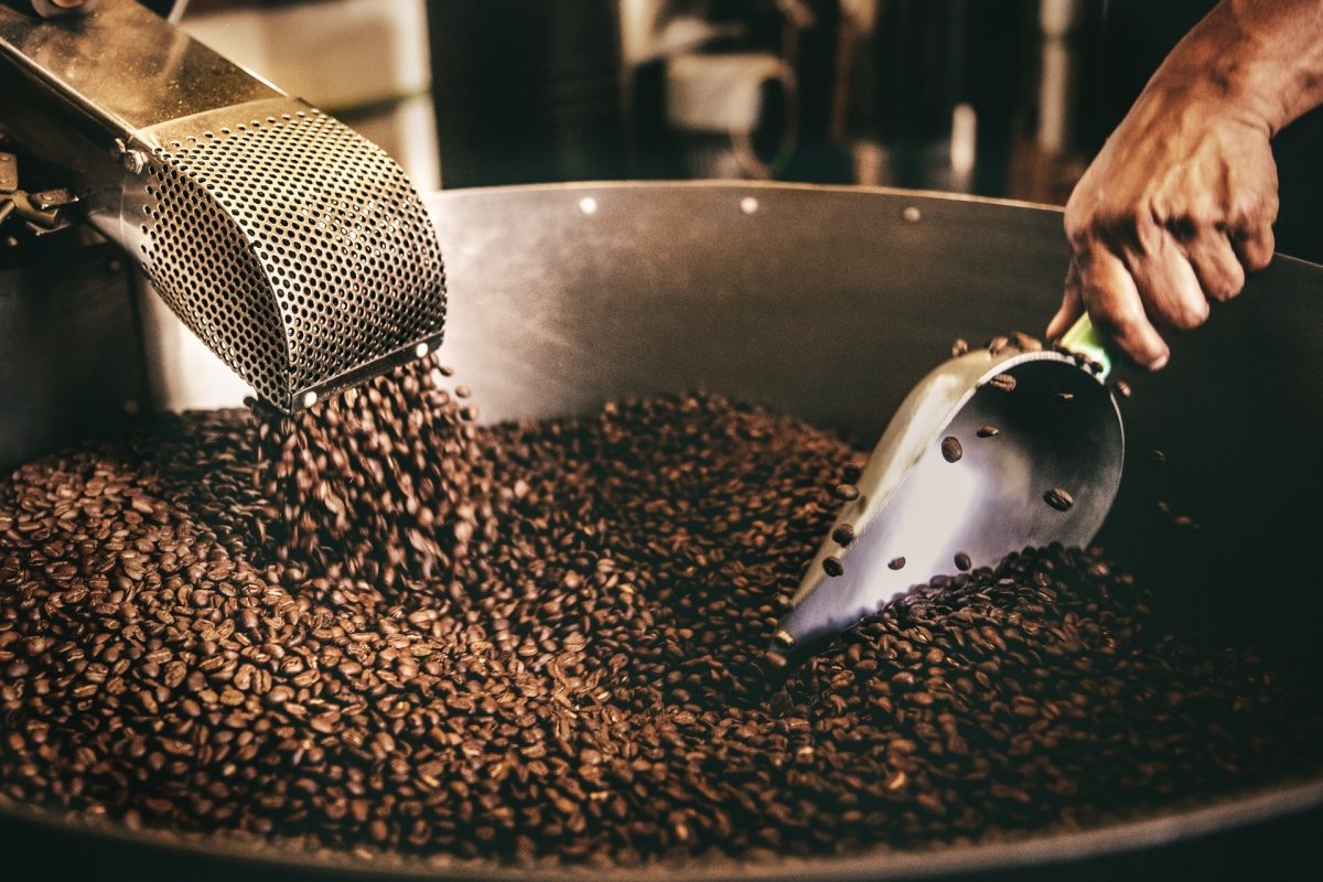 Removiendo los granos de café