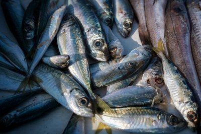Descubre el truco definitivo para limpiar y desespinar las sardinas