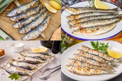 Las mejores recetas con sardinas