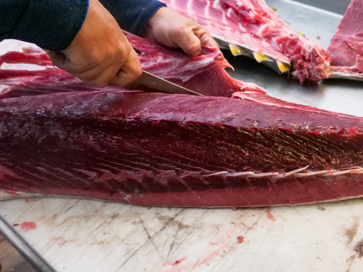 Sashimi de atún de almadraba