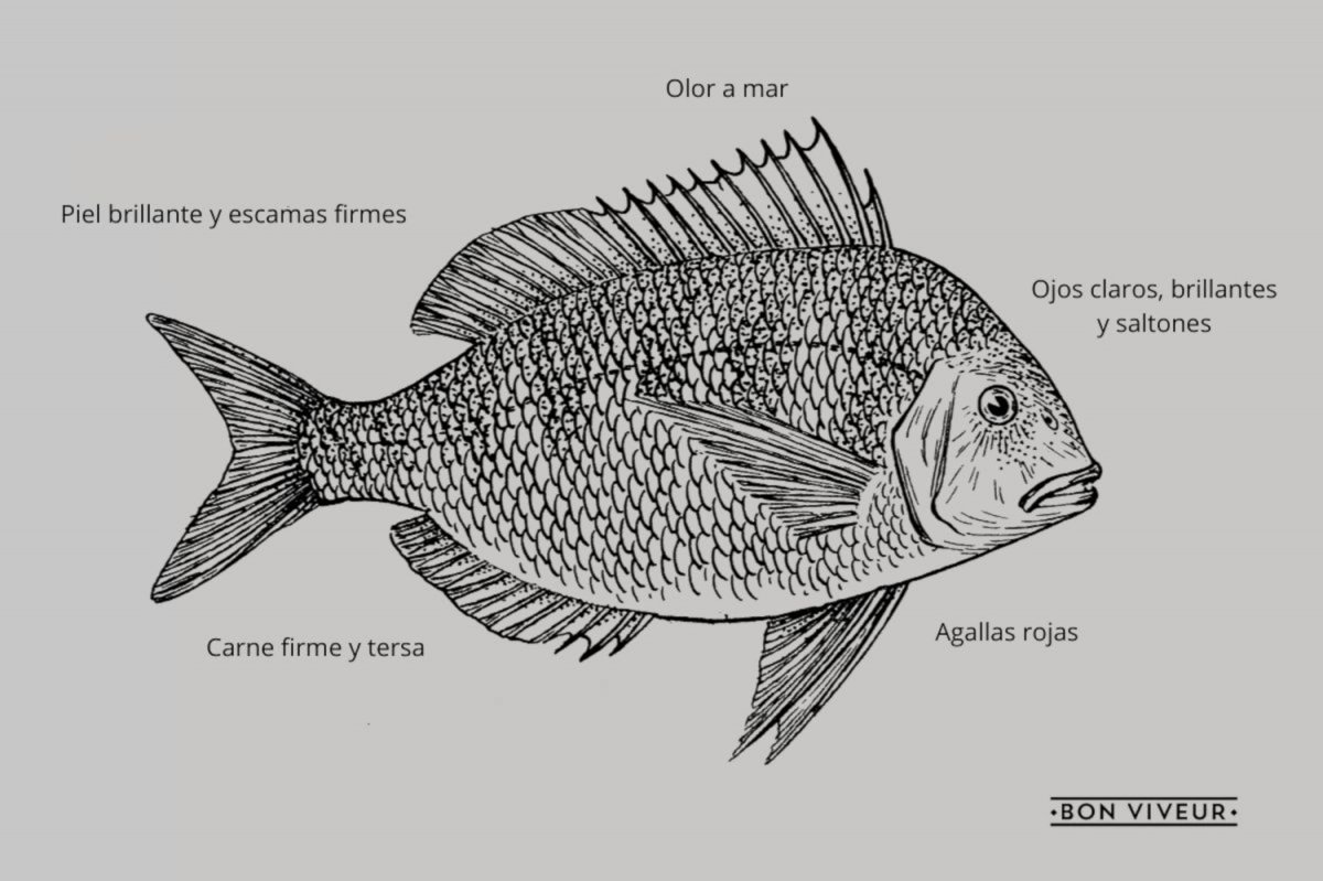 Cómo diferenciar un pescado fresco de uno en mal estado