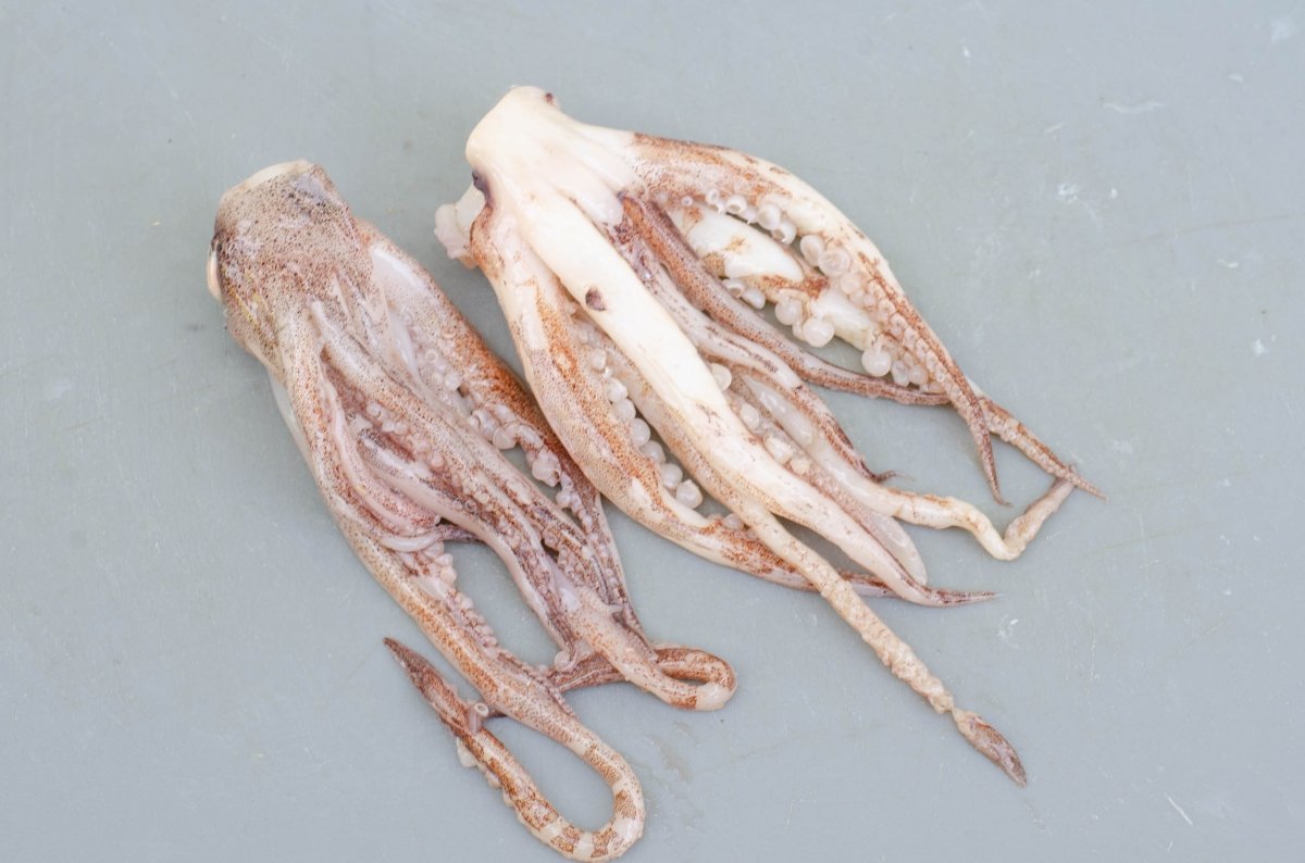Tentáculos de pota o calamar para hacer rejos fritos
